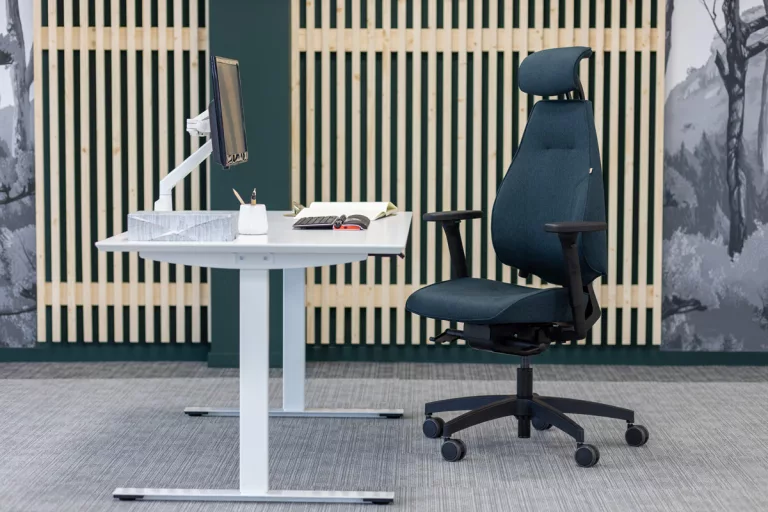 Ergonomischer Arbeitsplatz, ergonomischer Stuhl, ergonomischer Bürostuhl, elektrisch höhenverstellbarer Schreibtisch, ergonomisches Zubehör