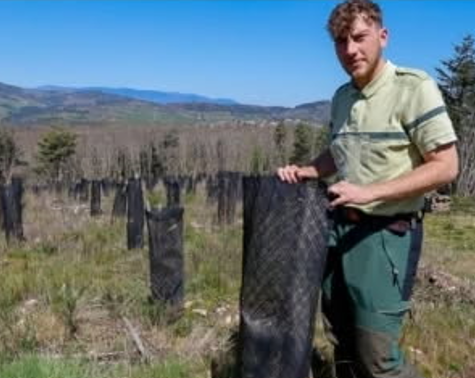 Julien Petit - Technicien de forêt ONF