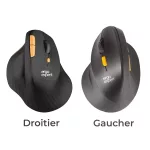 Souris verticales
