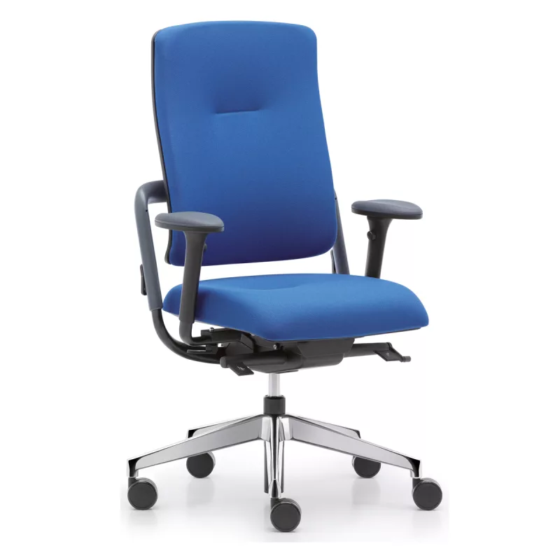 Fauteuil de bureau ergonomique simple et confortable Xenium Basic - Ajustement du soutien lombaire pneumatique