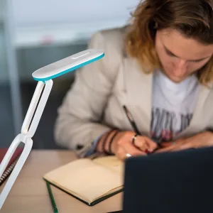 Lampe Lili posée sur un bureau, personne écrivant dans un carnet à proximité d'un ordinateur portable