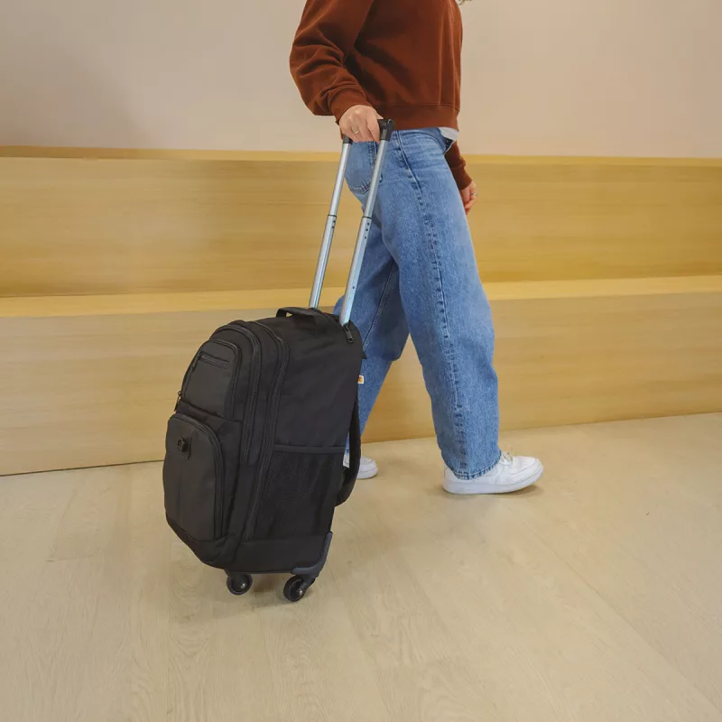 Sac professionnel transportable avec roulettes