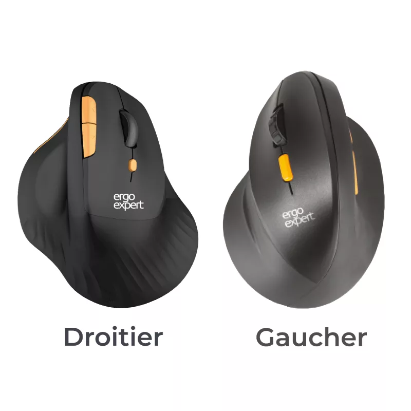 Souris verticale - Ergonomie - TMS - tension - douleurs - main - poignets - bras